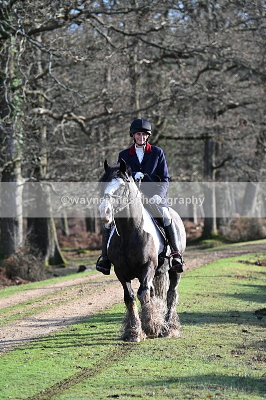 WJ7_7805 - Line 3 (no line 4 or 5)