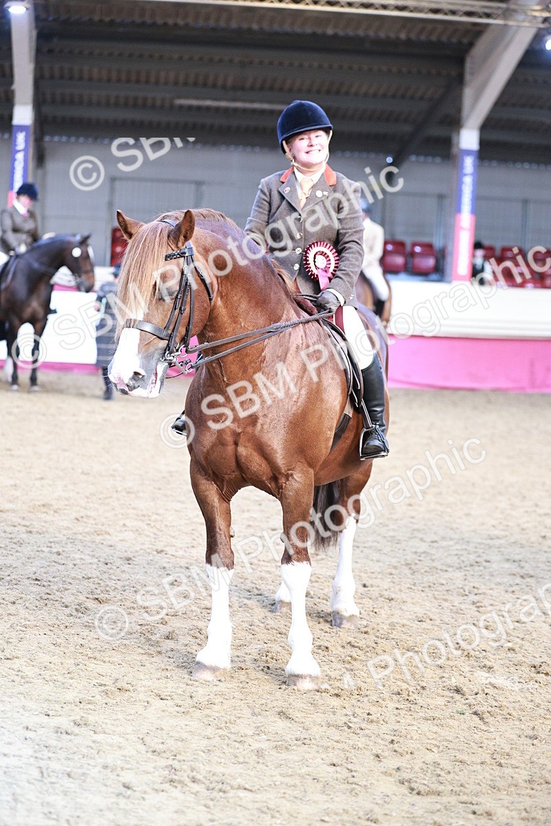 SBM_09123 - Class 12R - Regional Ridden Pre-Vet