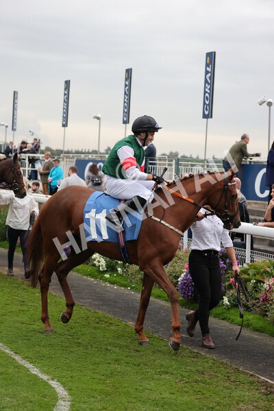yr09102021r7-3 - Race 7 5.00pm Coral Proud Sponsors Of British Racing Finale Handicap