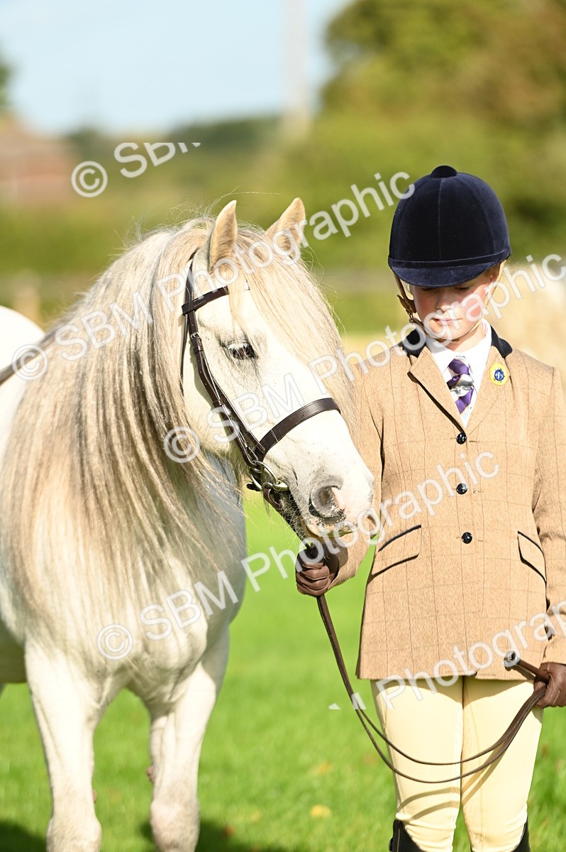 SBM_15900 - S1 - TSR in Hand Horse & Pony Showing
