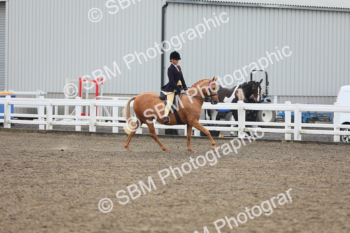 SBM_22336 - Class 807 - Young Rider 11 to 16 Yrs