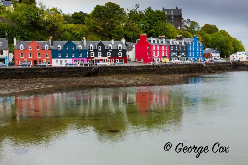 Tobermory - Landscapes