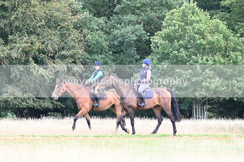 DSC_7836 - Time at Statue 13:16 to 13:52