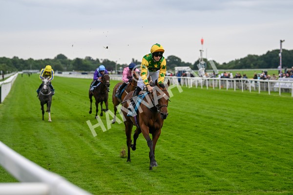 120724-Race 3-Royalty Bay-5982 - Race 3 3.15pm William Hill Keep Your Raceday Positive Irish EBF Fillies' Novice Stakes