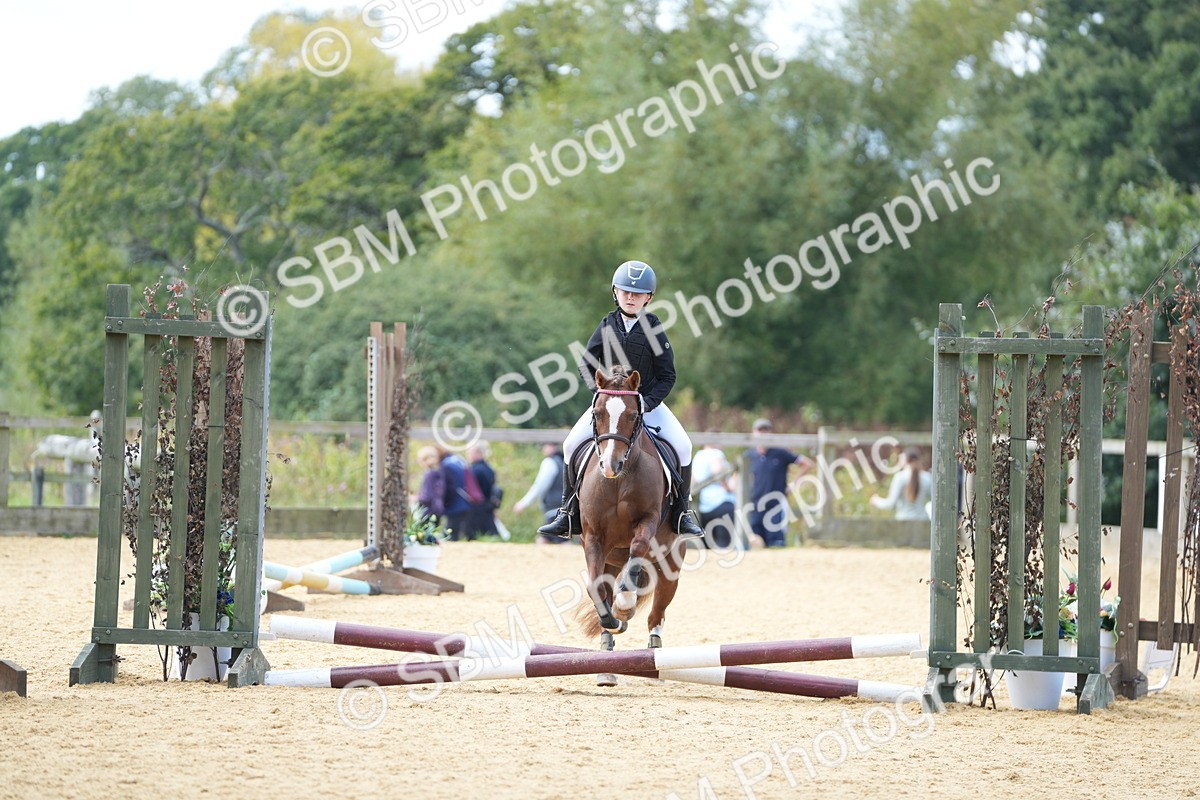 SBM_64380 - J2 - Mini Tour Junior Pony 30cm Championship