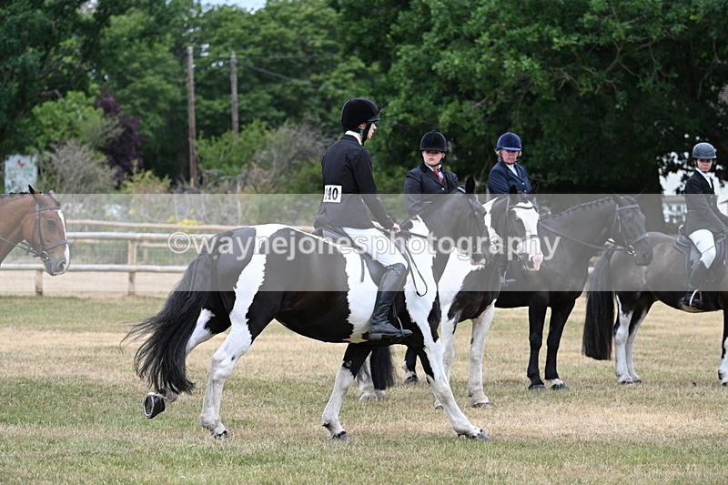 WJ7_1020 - Class 3 Family Mount