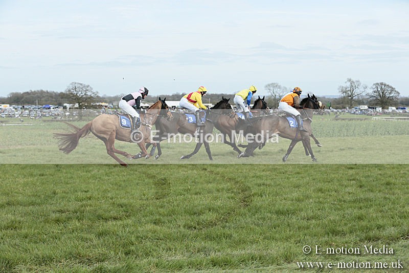 PtP 230319 270 - VWH Hunt Siddington Point-to-Point Racing 23/03/19