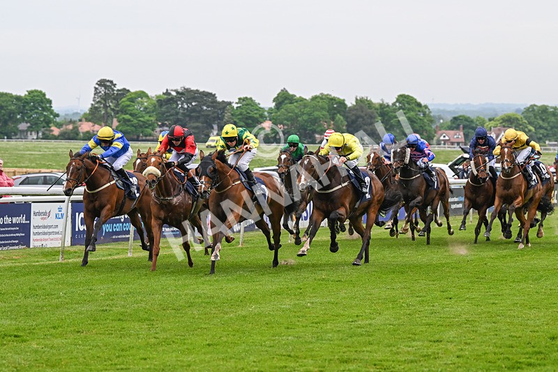 140524-Race 5-Coolree-2433 - Race 5