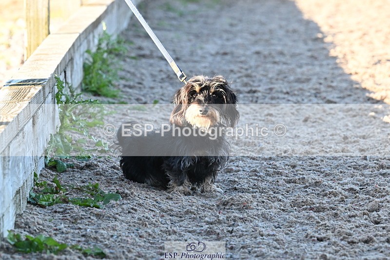 240912A-180241-02643 - Cls 7 Snr 90cm Open Speed Derby