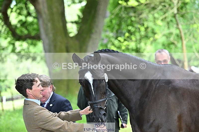 250521A-153055-00559 - B-365-Tom.McEwen-MAESTRO