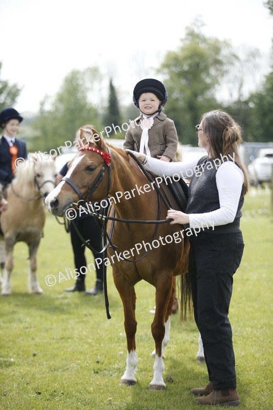 20260426-1972 - Class 8 - Prettiest Mare