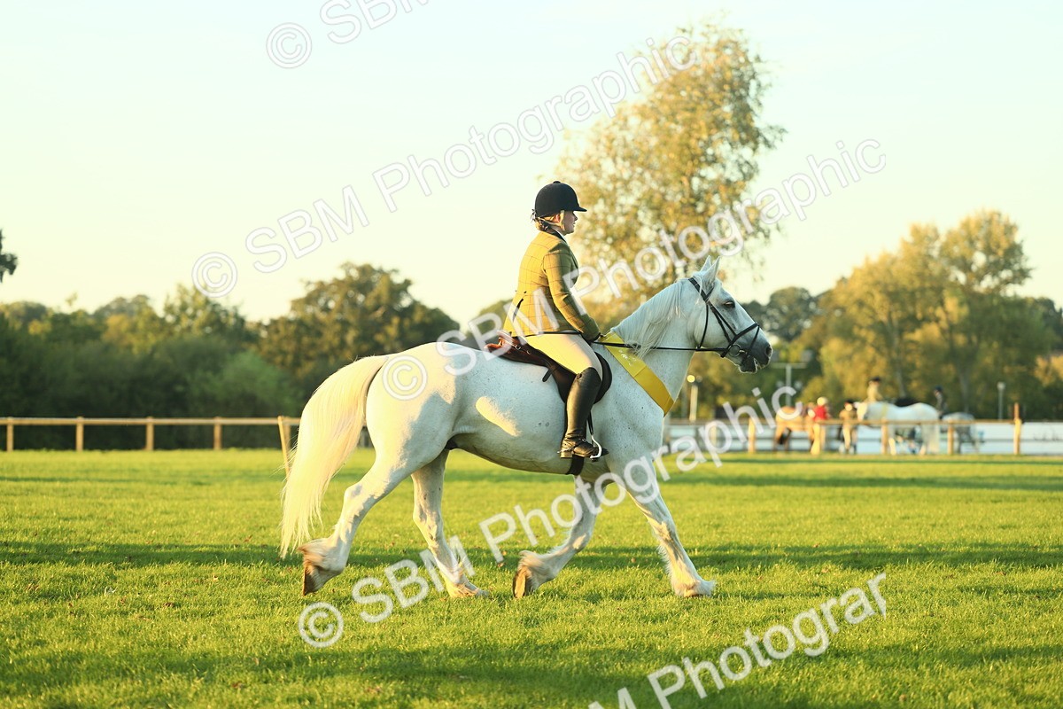 SBM_56612 - Fun & Versatile Supreme Championship