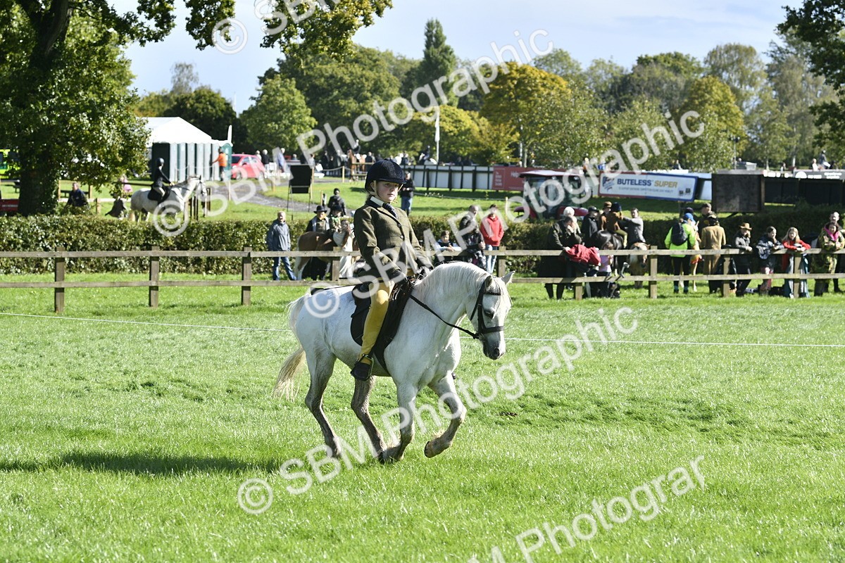 SBM_37263 - S31 - Novice & Newcomer Working Hunter Pony