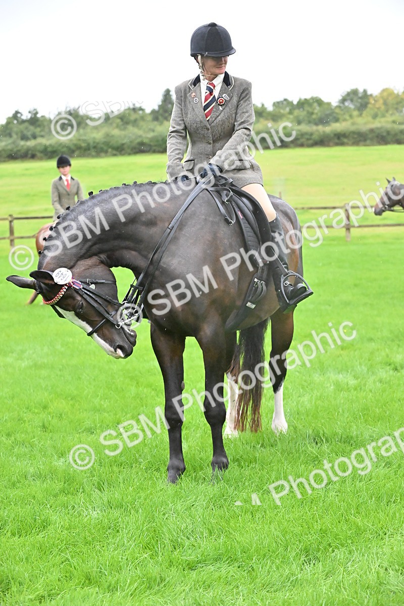 SBM_35724 - S16 - Top Turnout - Ridden