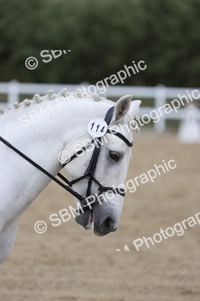 SBM_003758 - Class 6 - Prelim 3 Champs