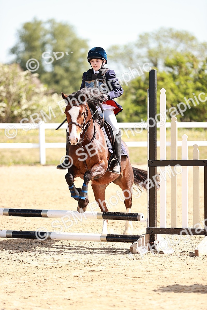 SBM_006903 - Class 2 - 50cm