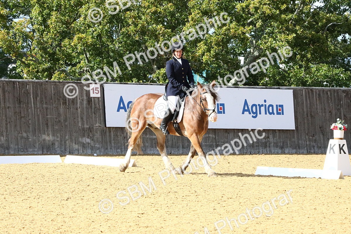 SBM_23615 - D5 - Small Tour Championshop Intro 2