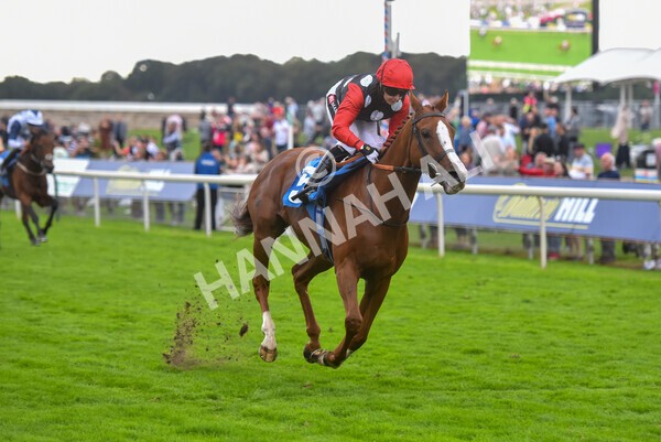 yr24092021r6-33 - Race 6 4.25pm William Hill Pick Your Places Stakes