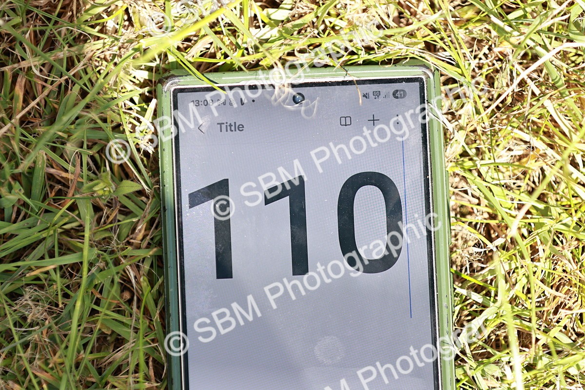 SBM_16333 - Class 110-111 - Training Stakes (70cms 80cms)