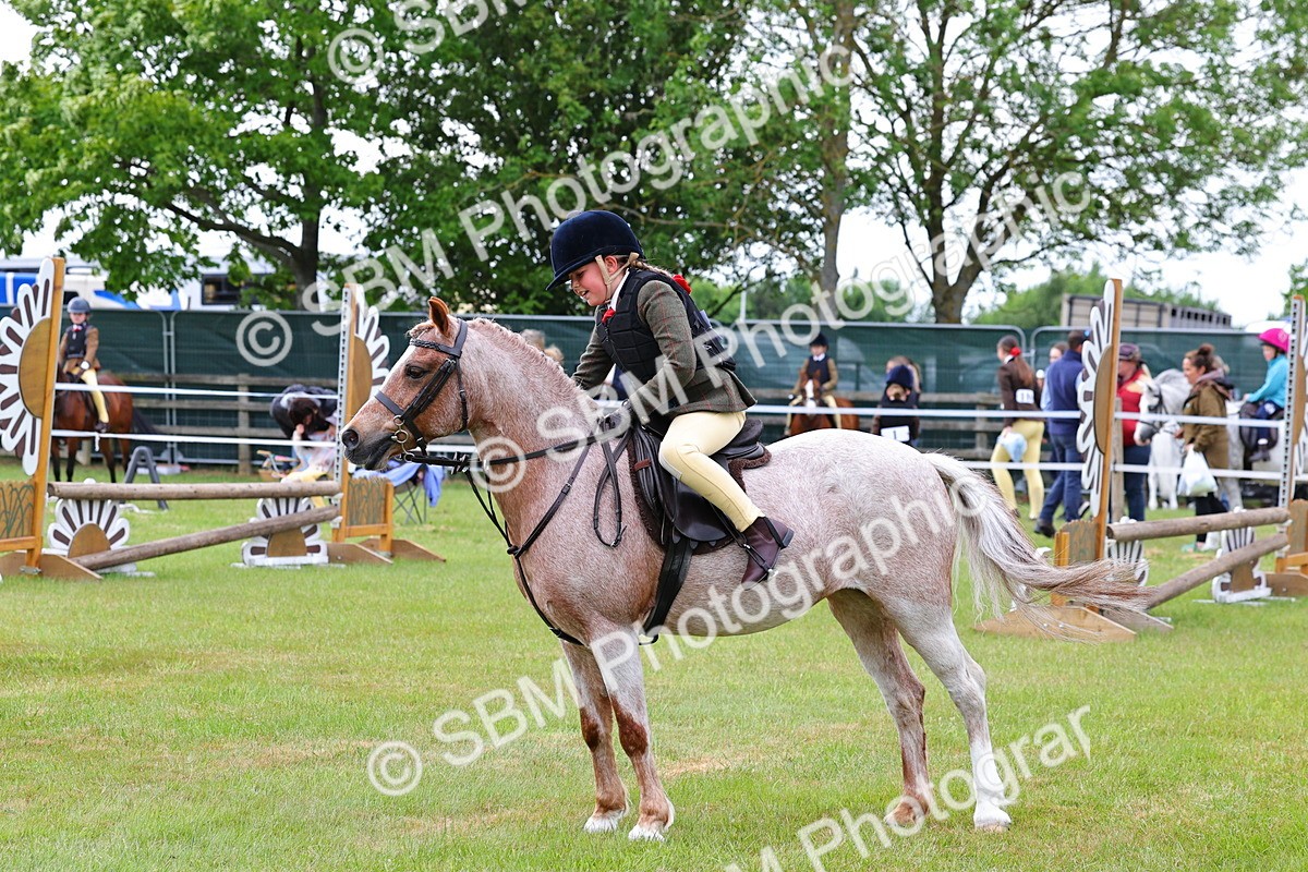 SBM_09426 - Class 44-45 - LIHS BSPS Open Nursery and Cradle Stakes