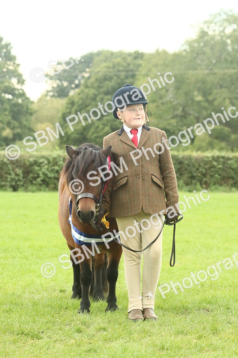 SBM_75184 - Super Supreme Championship