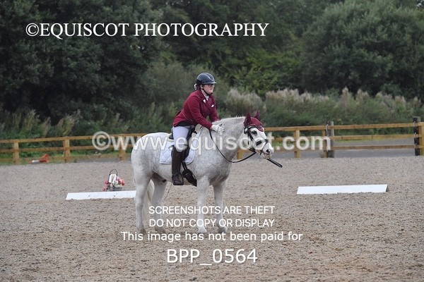 BPP_0564 - MFS PRELIM & NOV