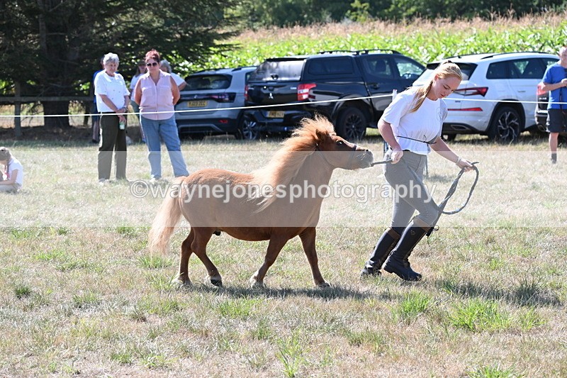 WJ6_4806 - Class 17 Mountain & Moorland