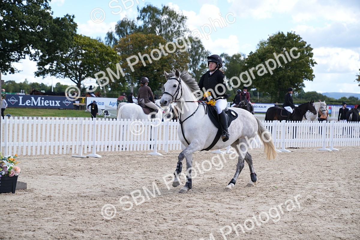 SBM_05198 - J35 Veteran 60cm Championship