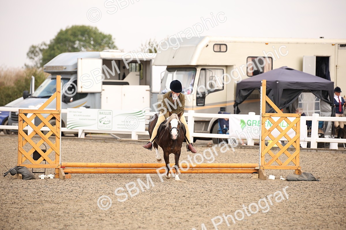 SBM_11689 - Class 404b Junior Working Veteran- 40cm(20+)