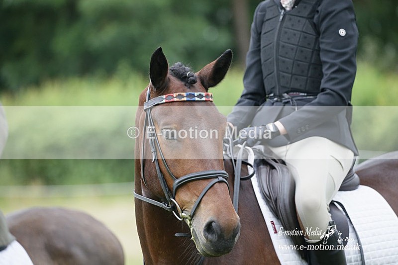 BVRC 030721 819 - Bourne Valley Riding Club Dressage 03/07/21