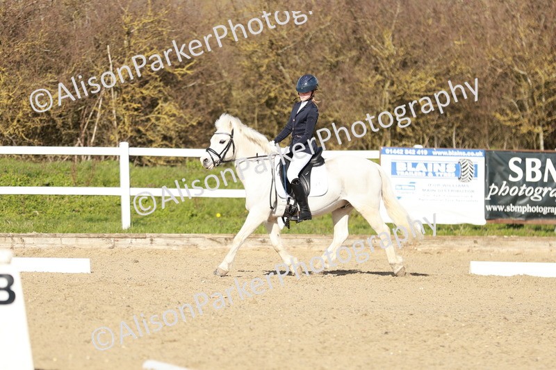 20260314-4511 - DR4 - Prelim 2