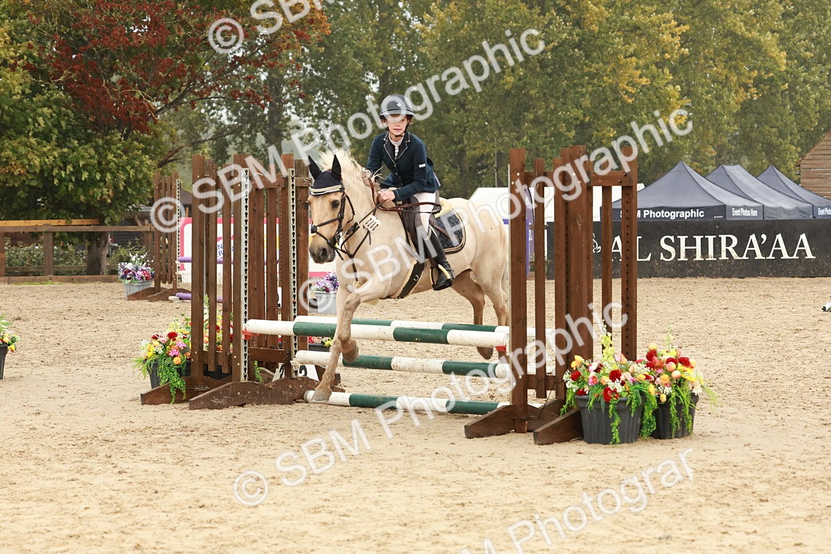 SBM_73303 - Supreme Championship Junior Pony 60cm & 65cm