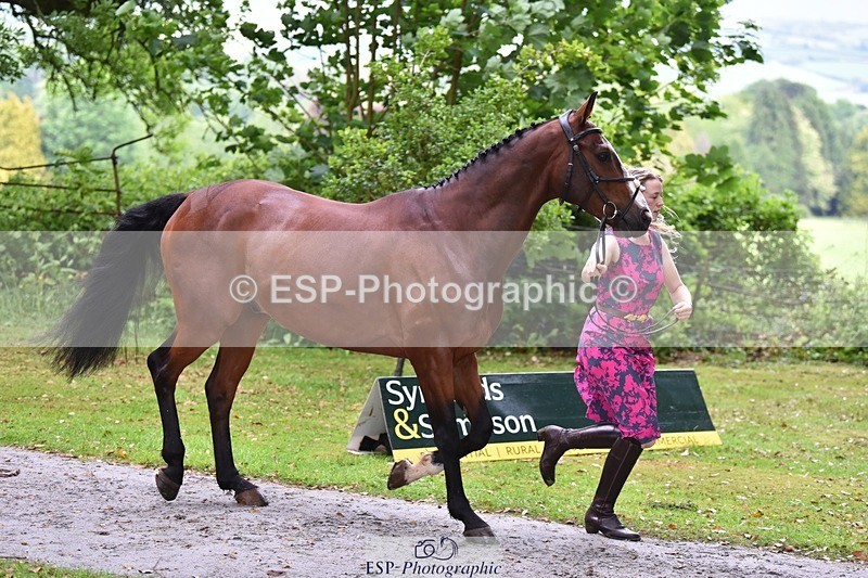 240522-160322-00684 - 117-KASAGRANDE_VR-Gemma_Watts