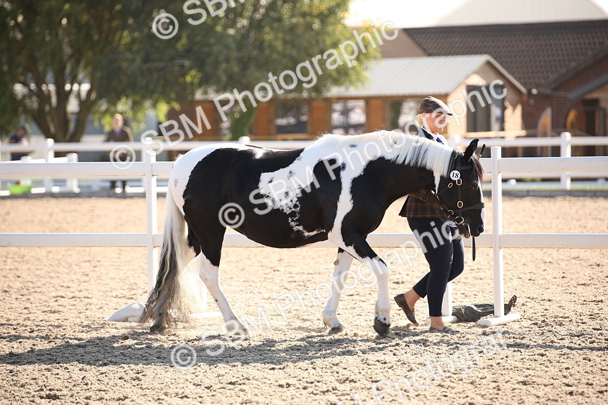 SBM_01436 - Class 15 IH Coloured