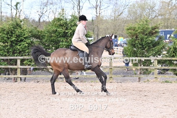 BPP_6917 - RING 1  (RIDDEN HORSES / IN HAND / VETERAN ETC)