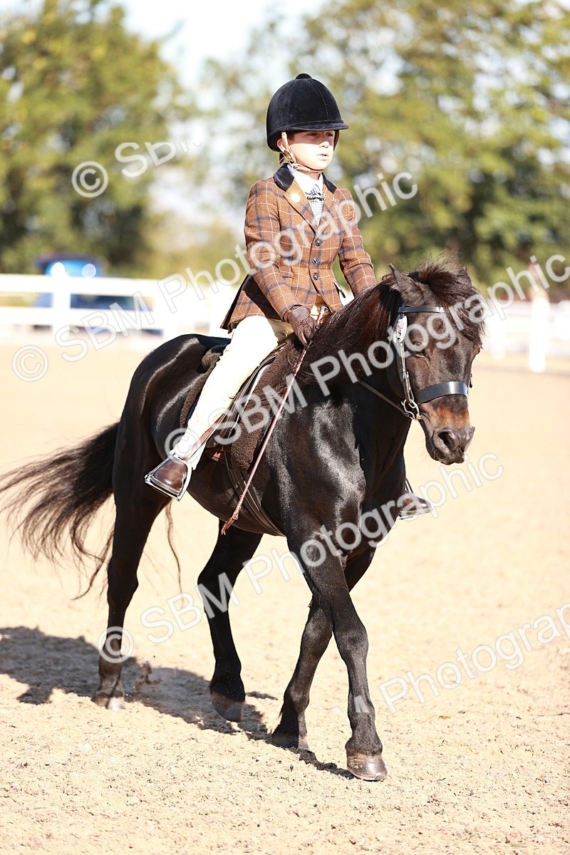 SBM_12505 - Class 403 - Grassroots Ridden - Junior