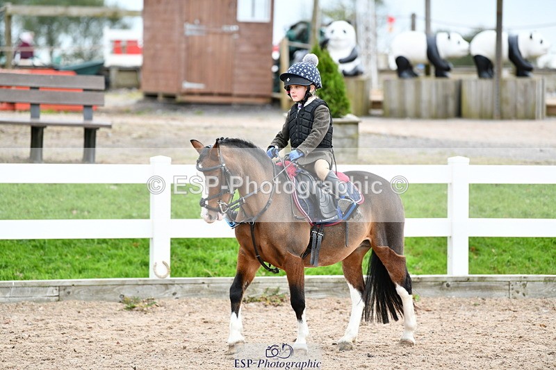 241013B-124423-01012 - Cls 3 50cm