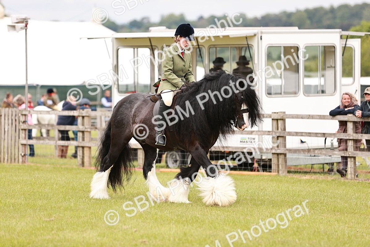 SBM_06218 - Class 39-41 TGCA In Hand and Ridden