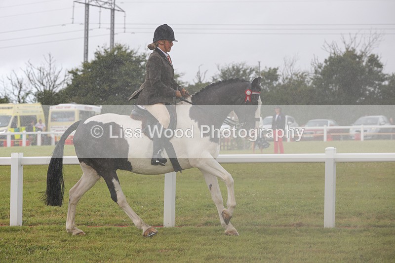 1X9A3011 - Class 26: Ridden Plaited Coloured Pony