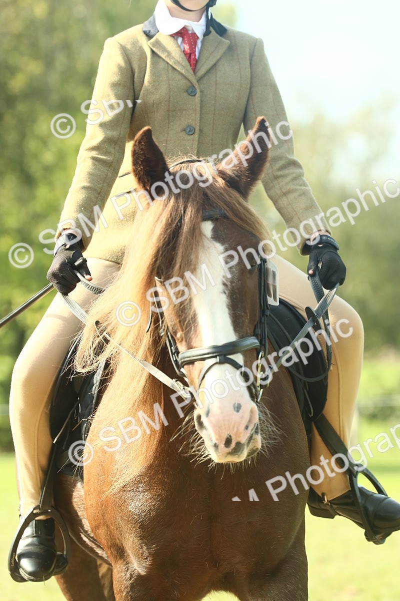 SBM_59898 - S38 - Starters Ridden Showing