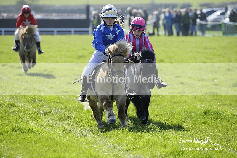 PtP 190322 11 - Wilton Hunt PtP Milborne St Andrew 19/03/22