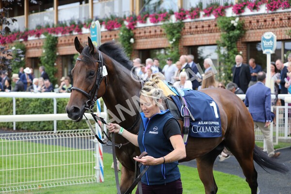 yr19082022r4-3 - Race 4 3.35pm Coolmore Wootton Bassett Nunthorpe Stakes (British Champion Series Race)