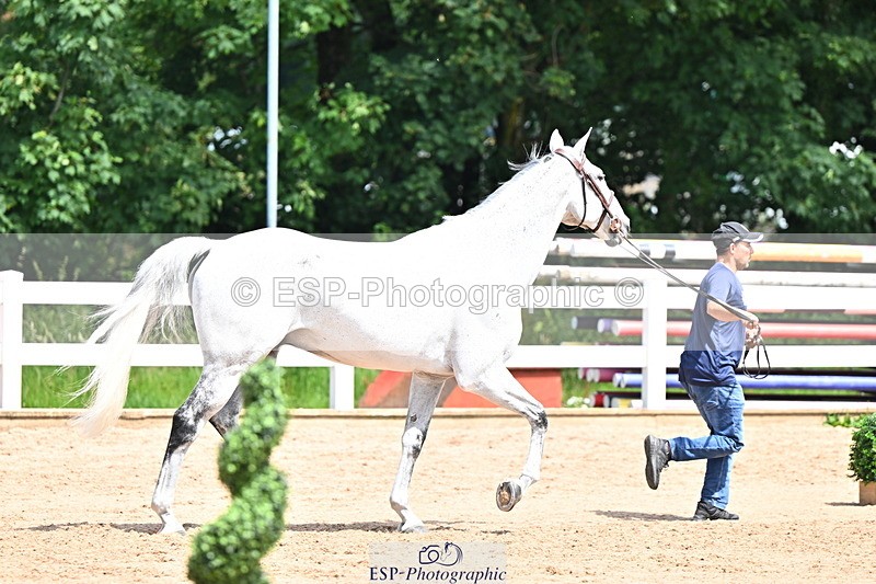 240718A-105255-01318 - Trot Up 12pm to 1pm
