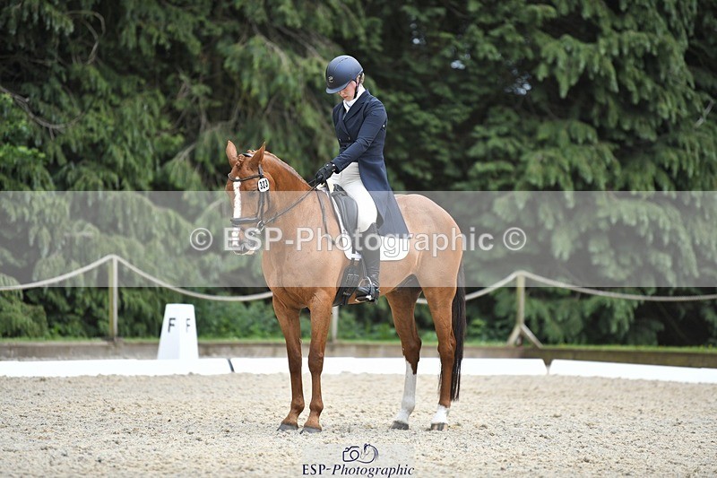 230525-144650-03181 - 323-CHESTNUT_BOBBY-Molly_Fletcher-WEDTrotUp+DR