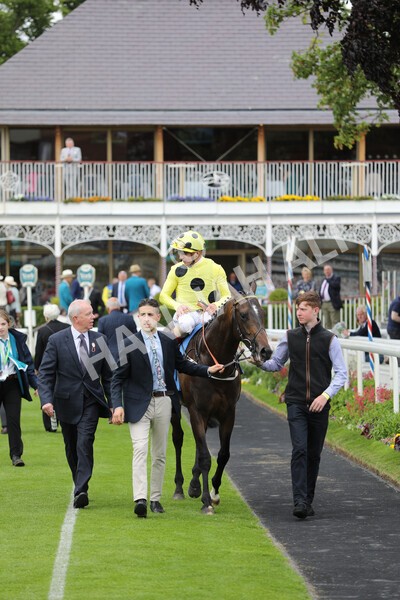yr11062022r6-34 - Race 6 4.15pm Reg Griffin Appreciation EBFstallions.com Maiden Stakes