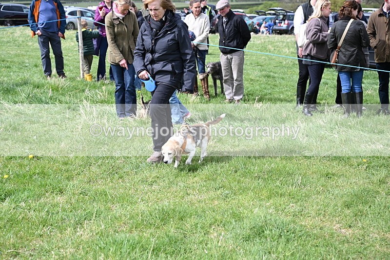 WJ6_8318 - Class 4 Prettiest Bitch