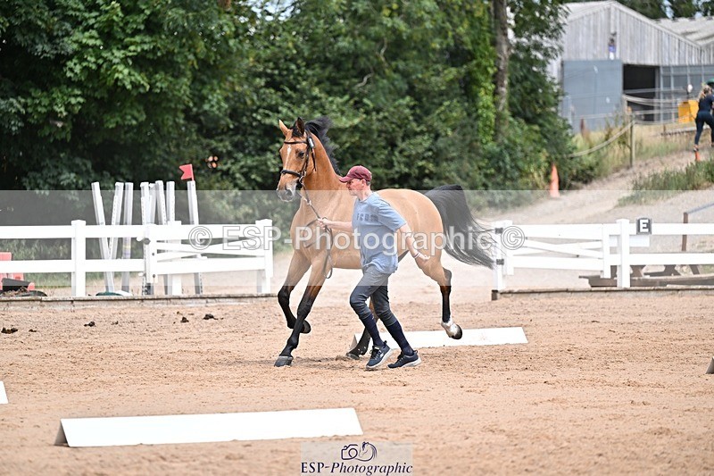 250716-132402-00487 - Trot Up 12.30 to 1.30