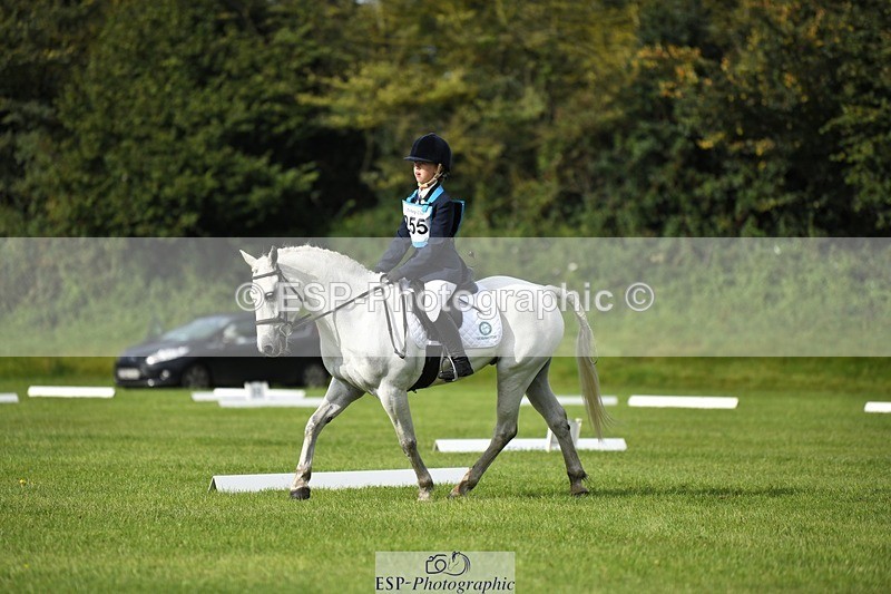 230826-093357-15151 - Sections C & D 9 to 10am