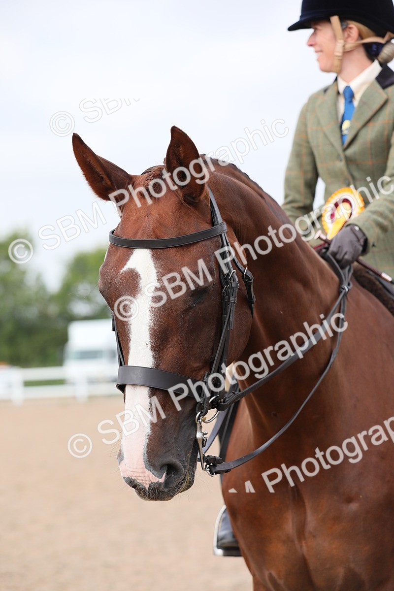 SBM_11487 - Class 305 Ridden Foreign Breeds- Pure Bred