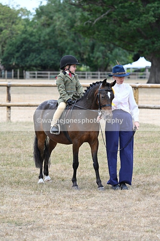 WJ7_0716 - Class 6 Ridden Mountain and Moorland